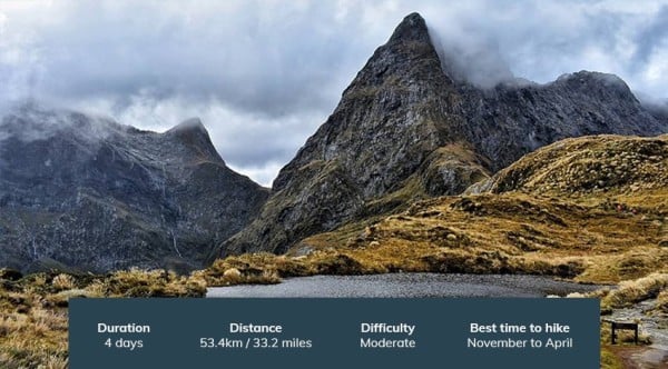 Milford track guided clearance hike